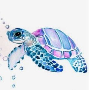 Meet your Posher, Guadalupe